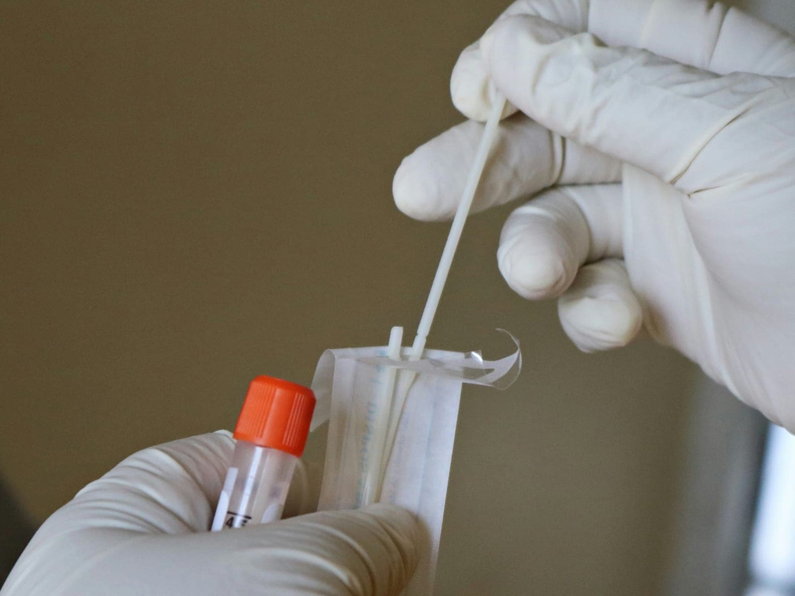 A cheek swab being placed into a sample tube